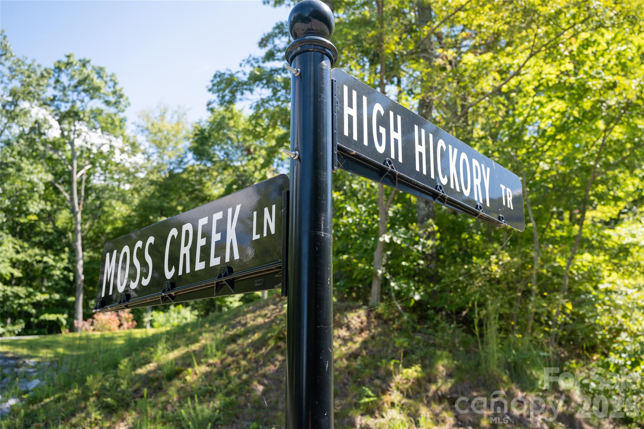 1043 Moss Creek Lane 69 Property Photo 16