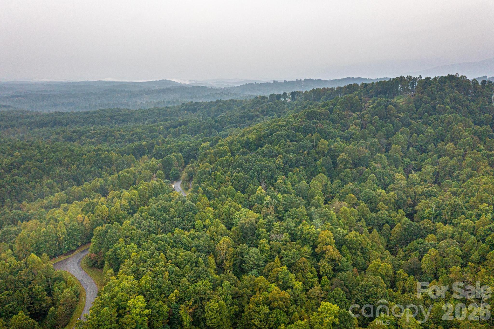 Lot 26 Round Mountain Parkway Property Photo 9