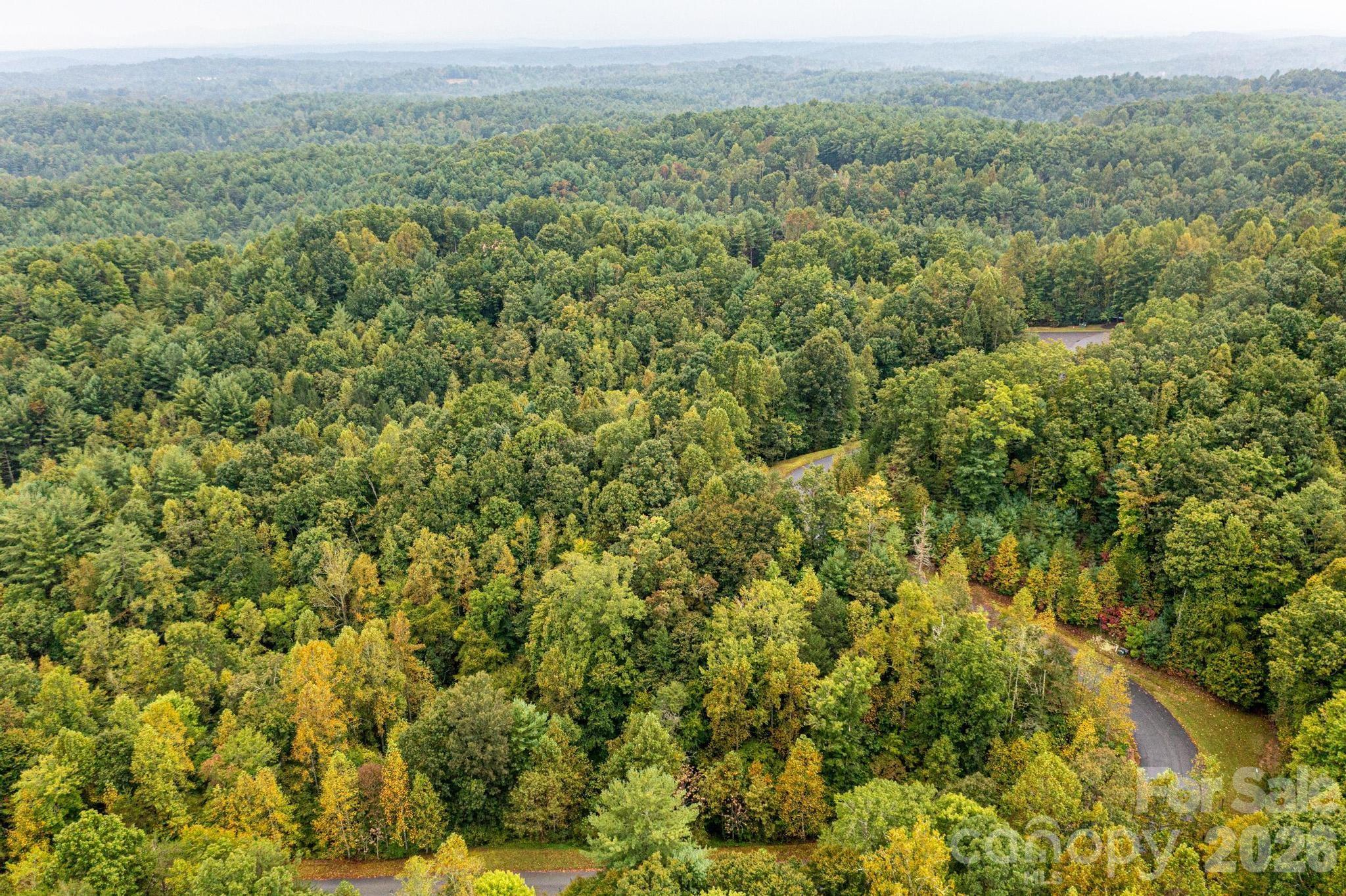 Lot 26 Round Mountain Parkway Property Photo 18