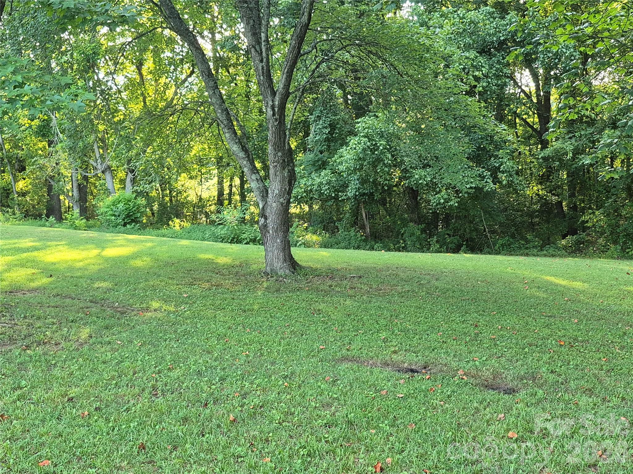6373 Dixie Lane Property Photo 29