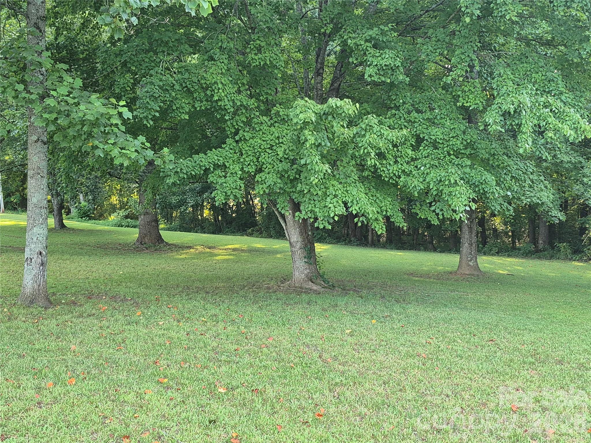 6373 Dixie Lane Property Photo 30
