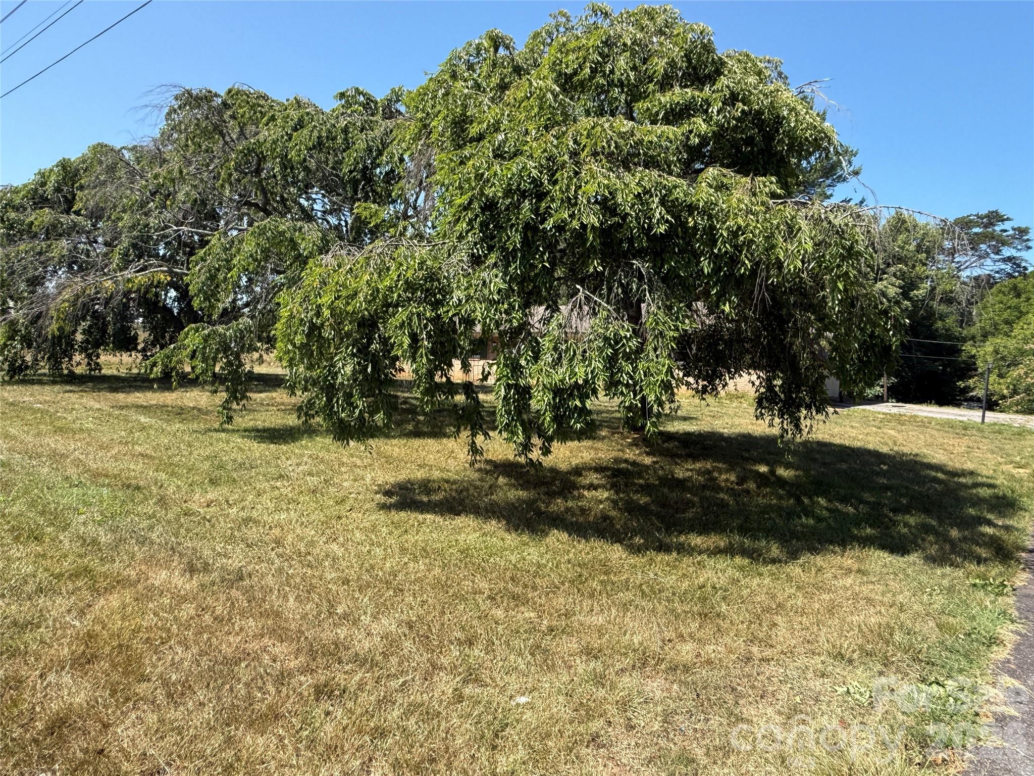 649 Curtis Bridge Road Property Photo 2