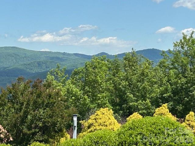0 Azule Ridge Property Photo 6