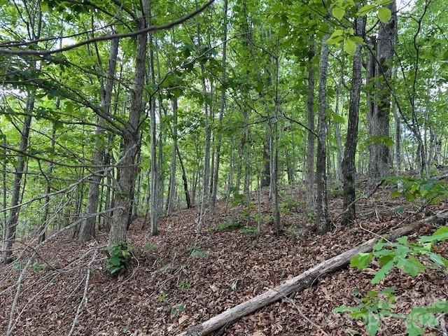 0 Azule Ridge Property Photo 8