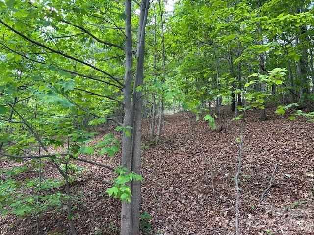 0 Azule Ridge Property Photo 10
