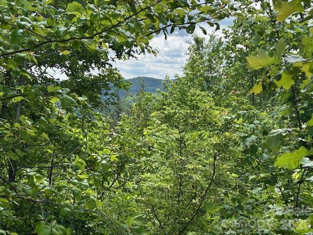 0 Azule Ridge Property Photo 11