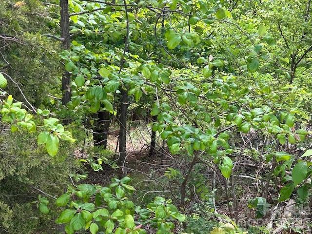 0 Azule Ridge Property Photo 12