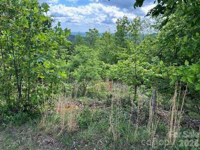 0 Azule Ridge Property Photo 13