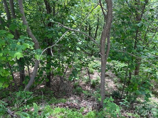 0 Azule Ridge Property Photo 14