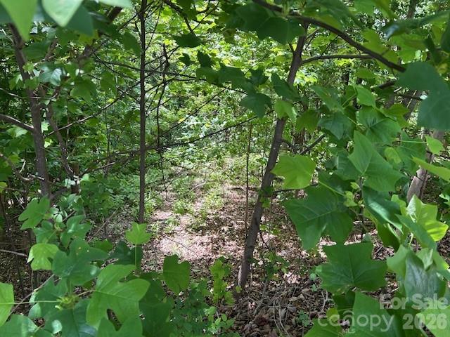 0 Azule Ridge Property Photo 15