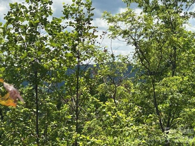 0 Azule Ridge Property Photo 16
