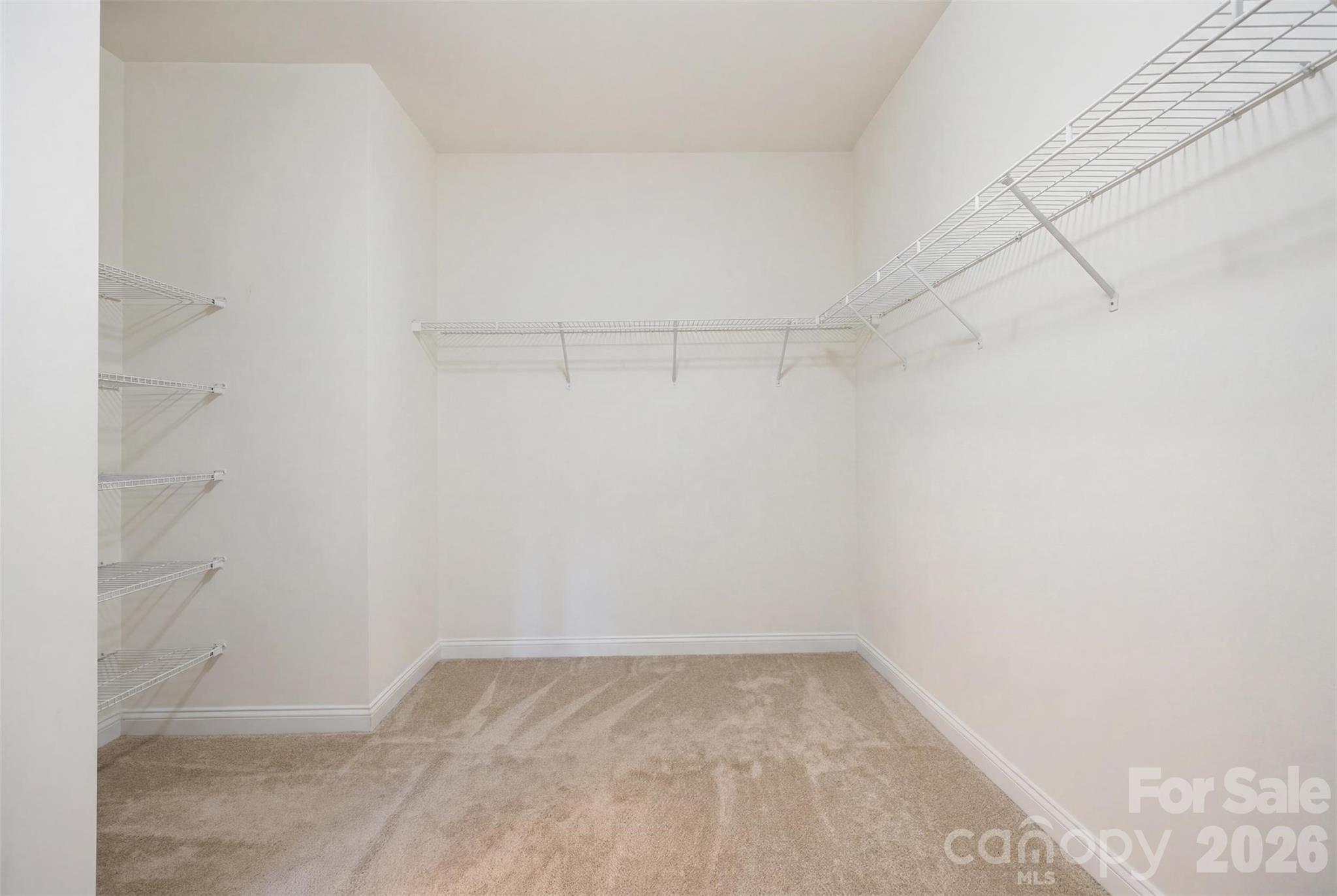 1235 Tranquil Falls Lane Property Photo 22