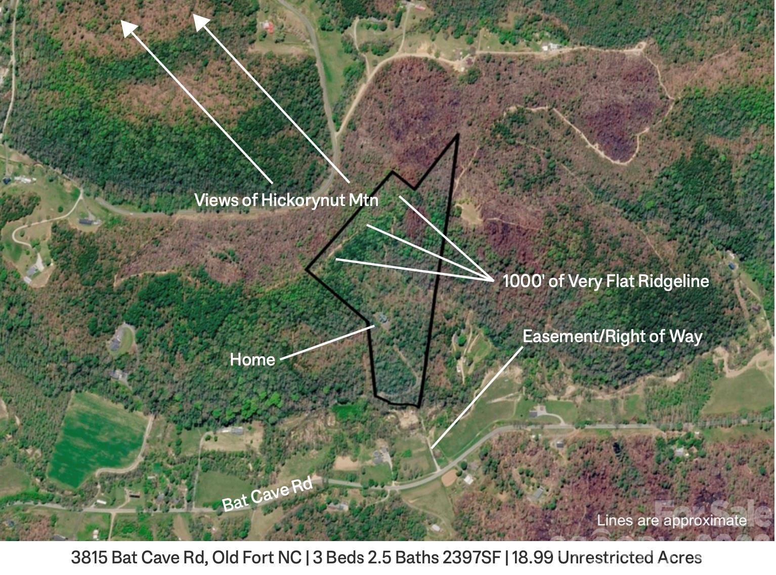 3815 Bat Cave Road Property Photo 5