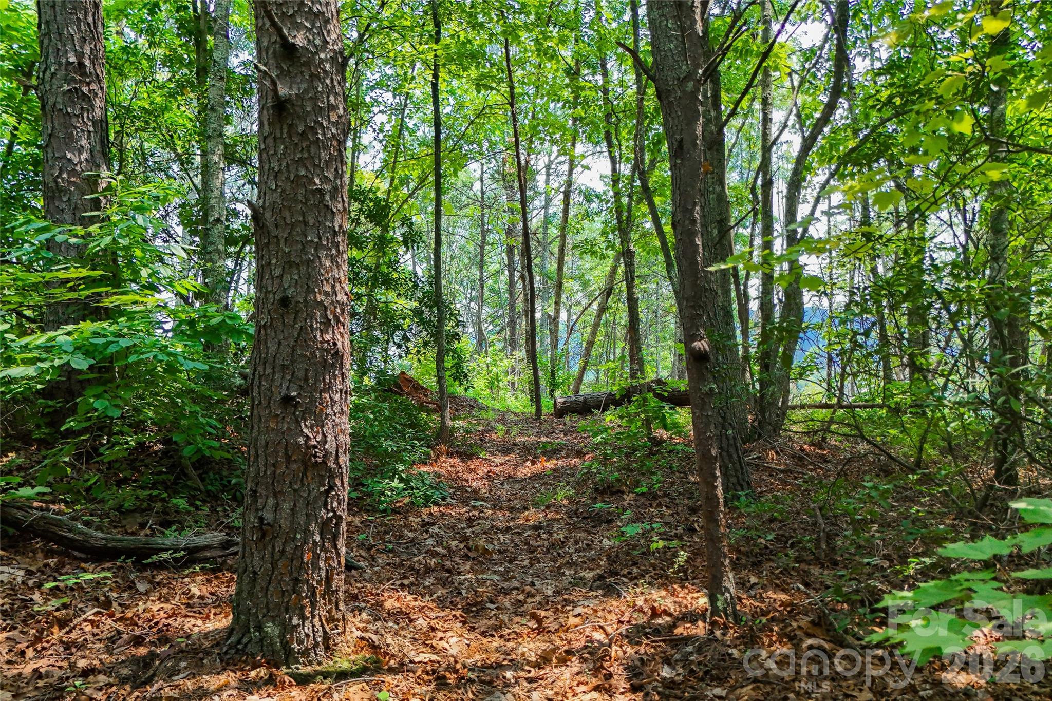 3815 Bat Cave Road Property Photo 38