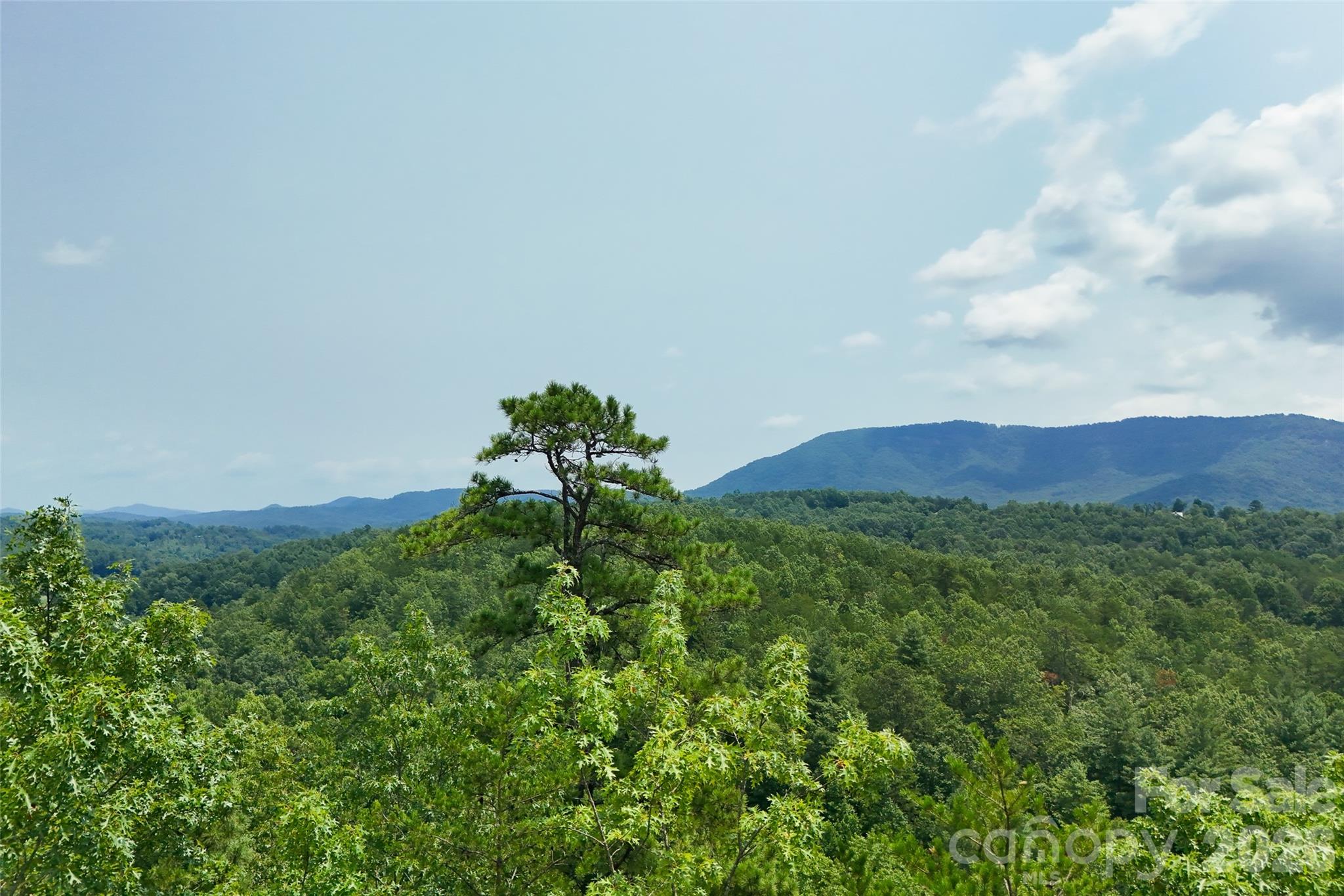 3815 Bat Cave Road Property Photo 40