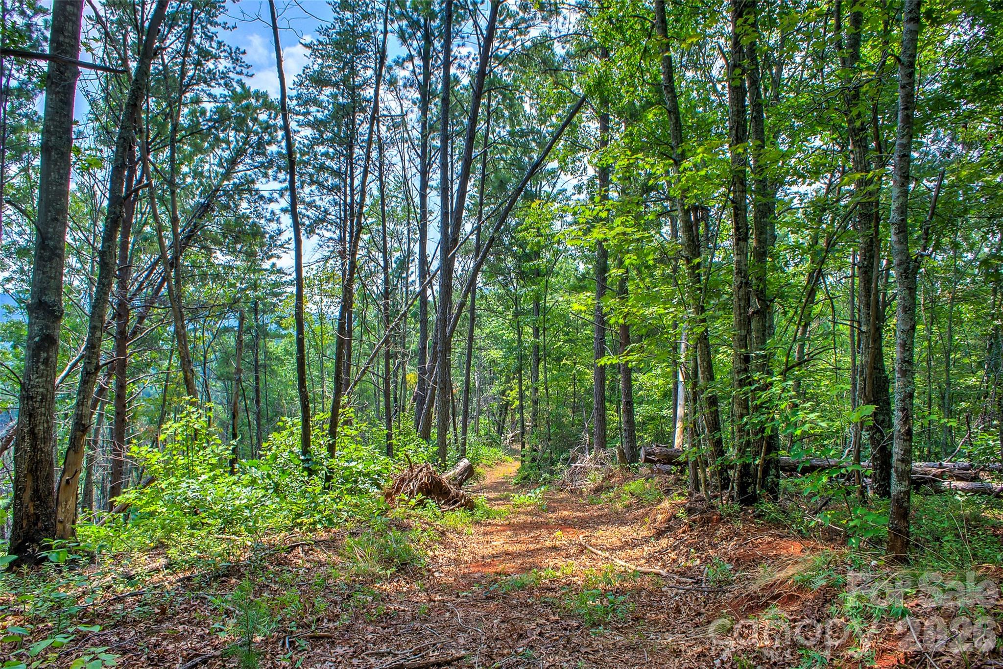 3815 Bat Cave Road Property Photo 41