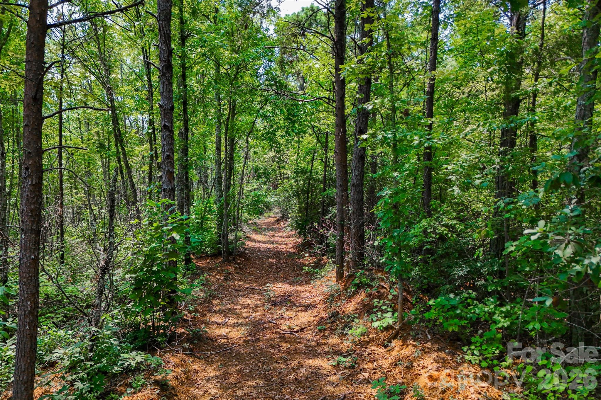 3815 Bat Cave Road Property Photo 43