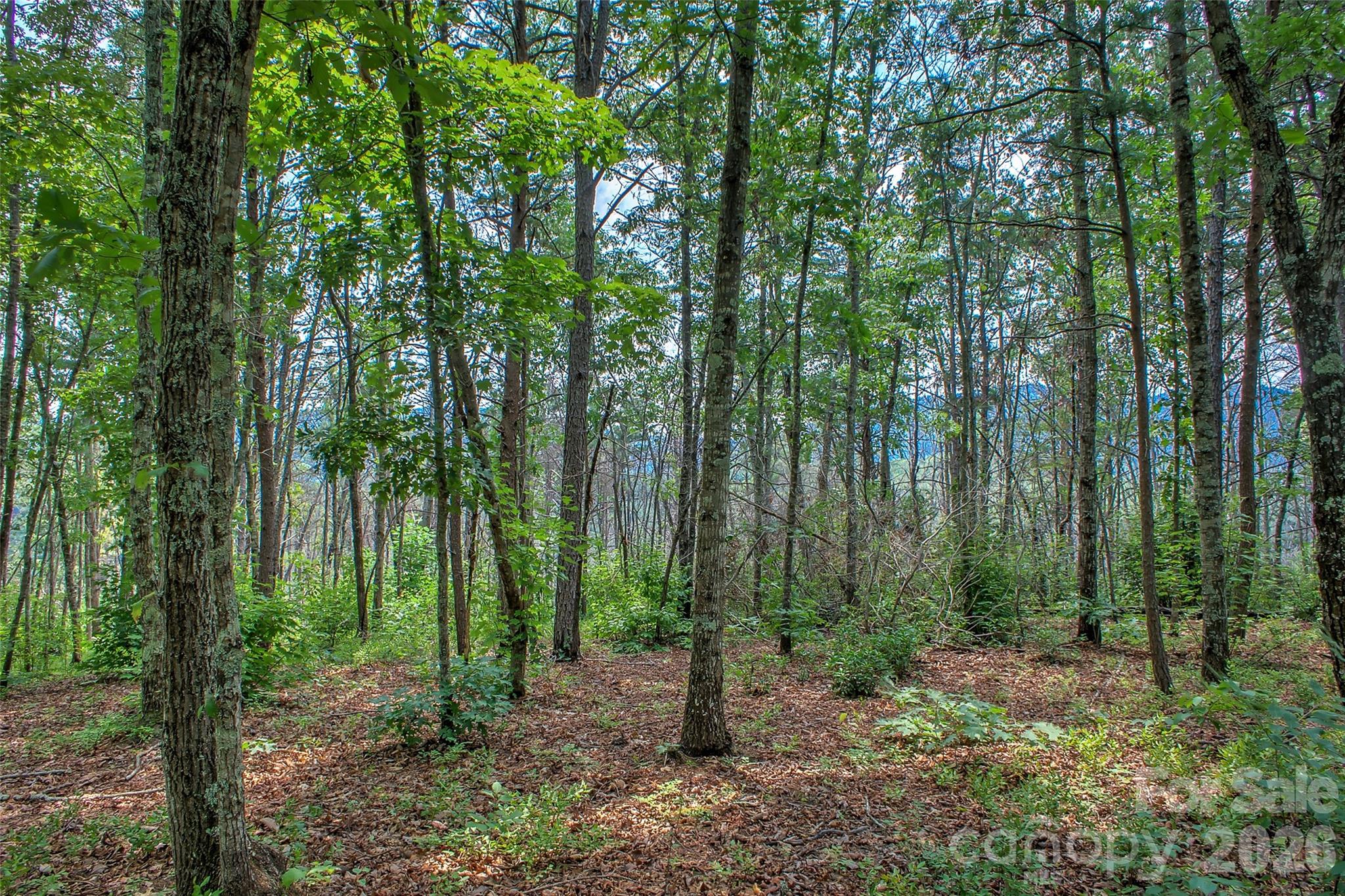 3815 Bat Cave Road Property Photo 44