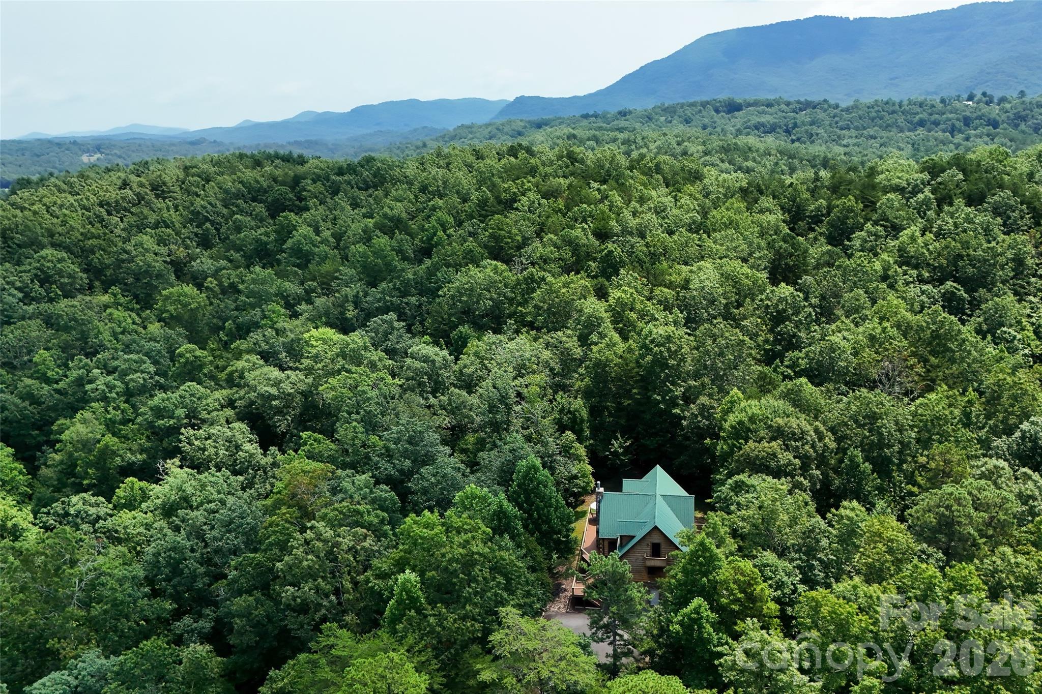 3815 Bat Cave Road Property Photo 46
