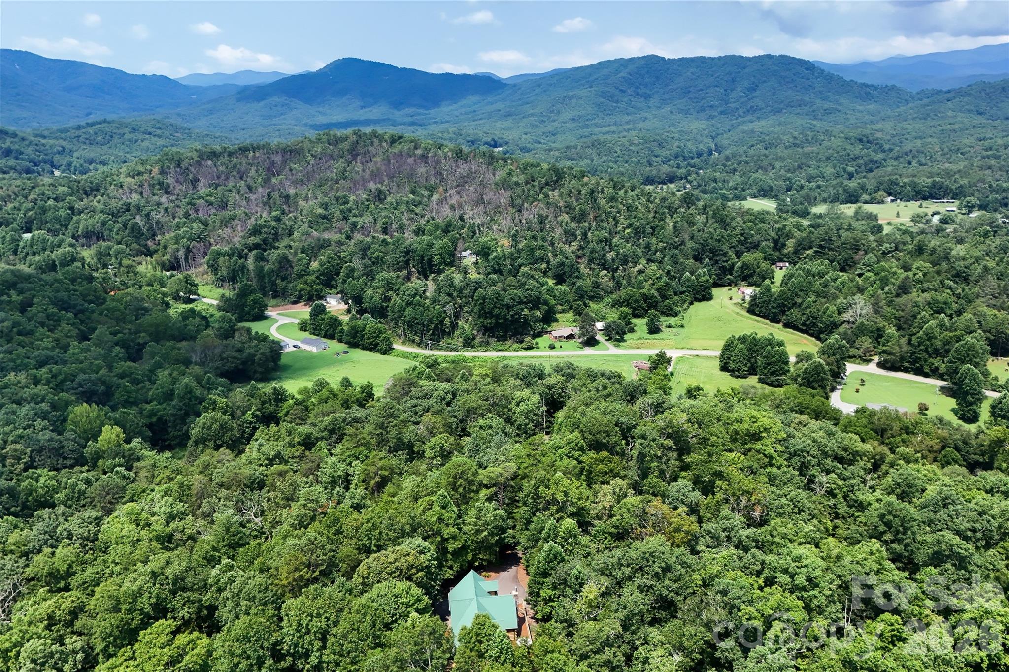 3815 Bat Cave Road Property Photo 47