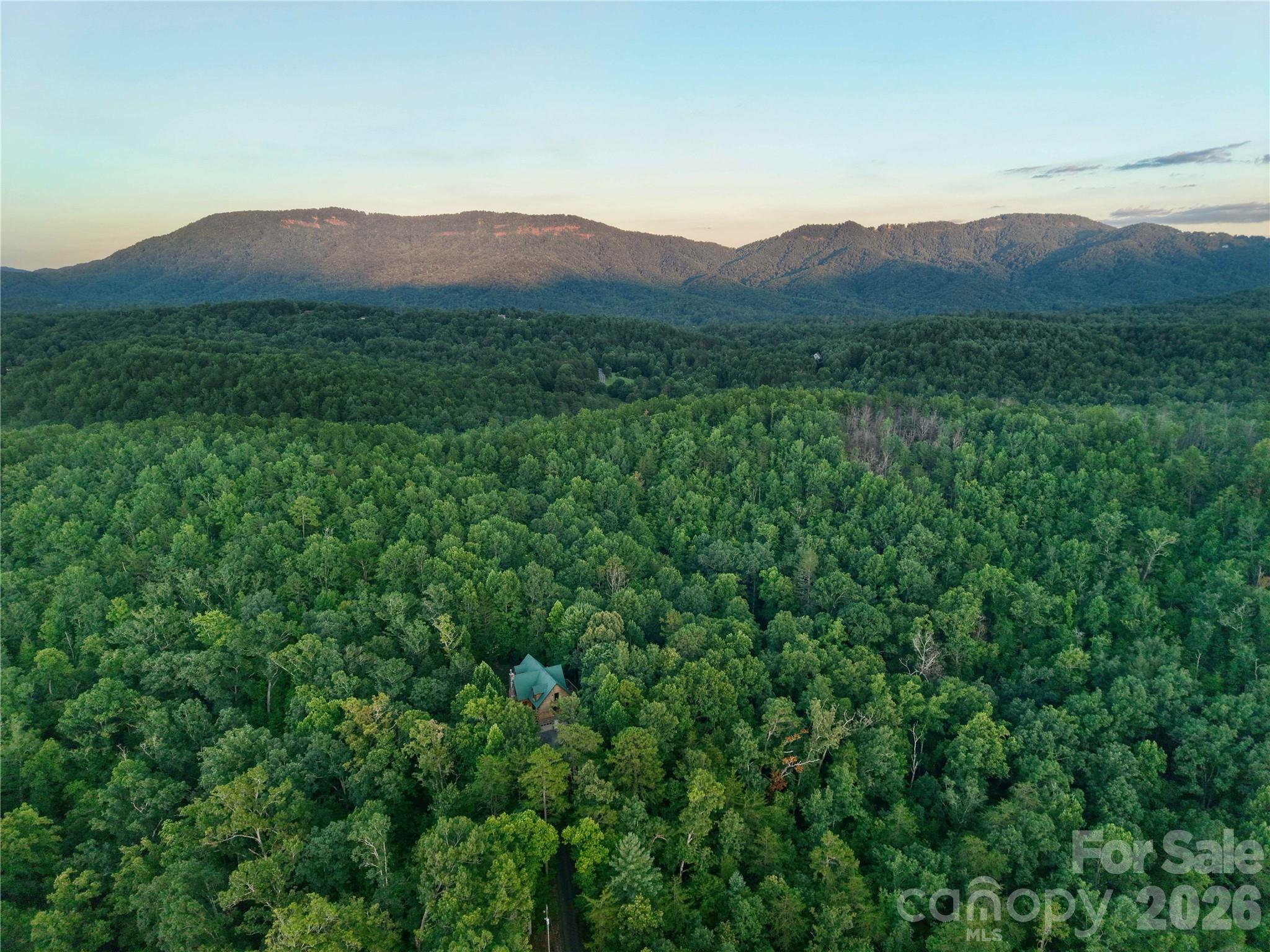 3815 Bat Cave Road Property Photo 48