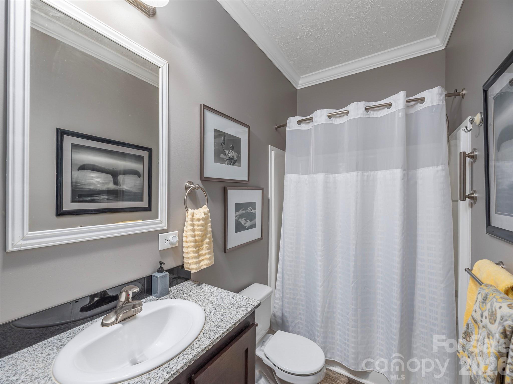 4687 Old Clyde Road Property Photo 20