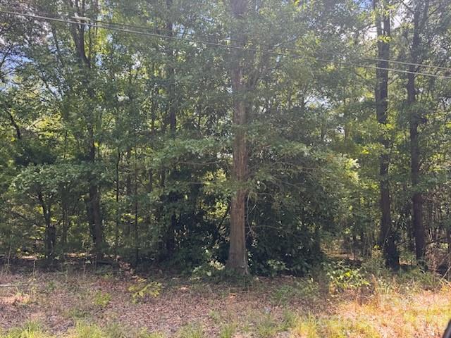 00 Nope Lane Property Photo 2