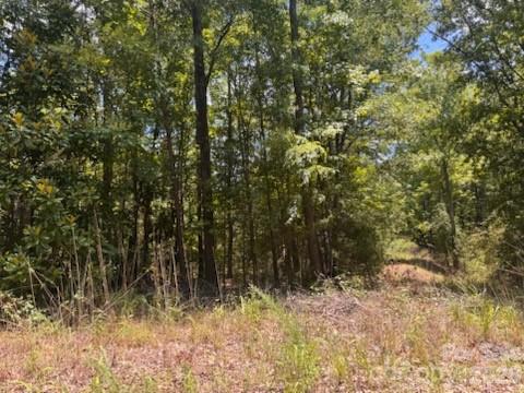 00 Nope Lane Property Photo 3