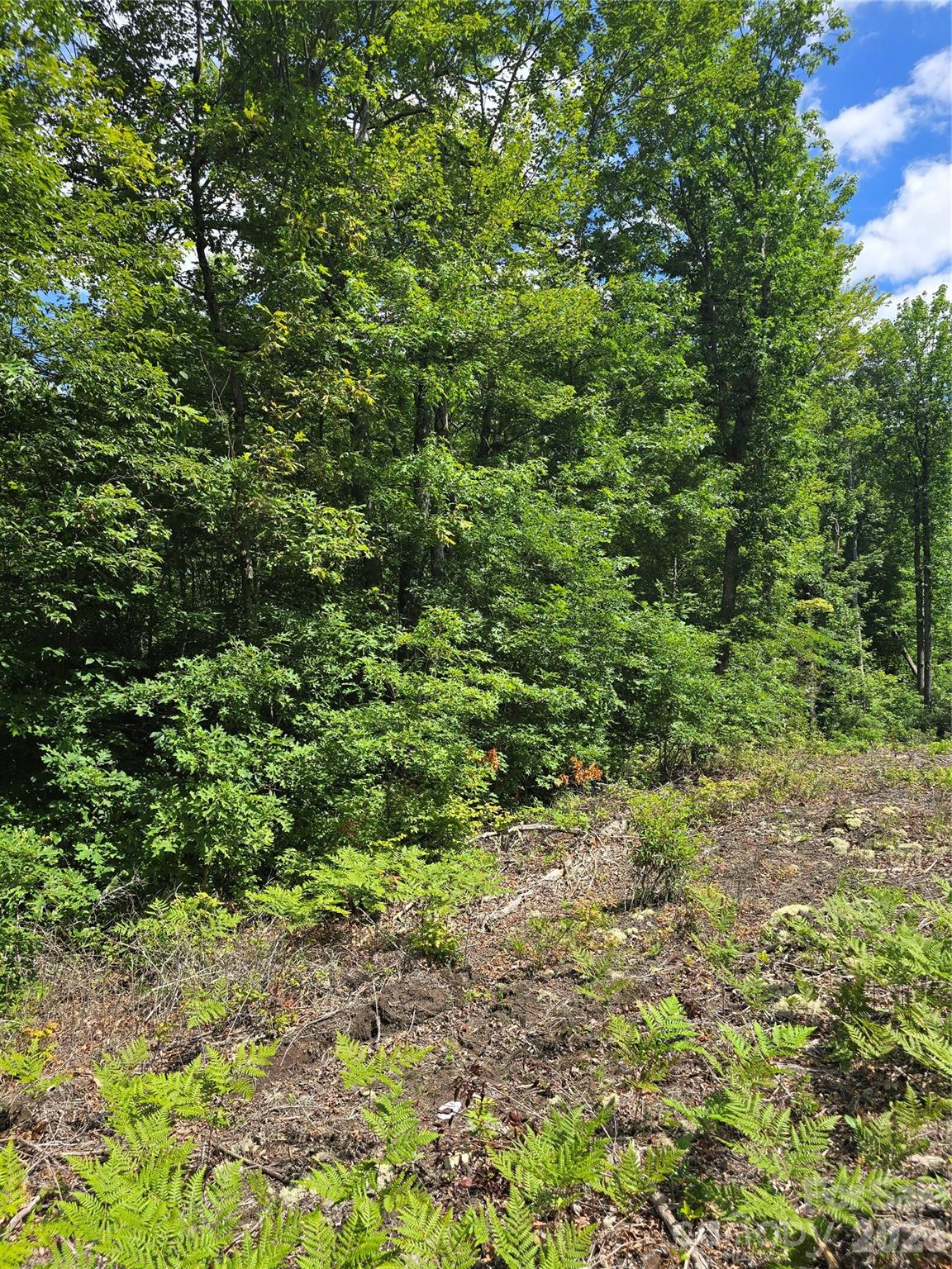 0000 Nancy Mountain Road Property Photo 1