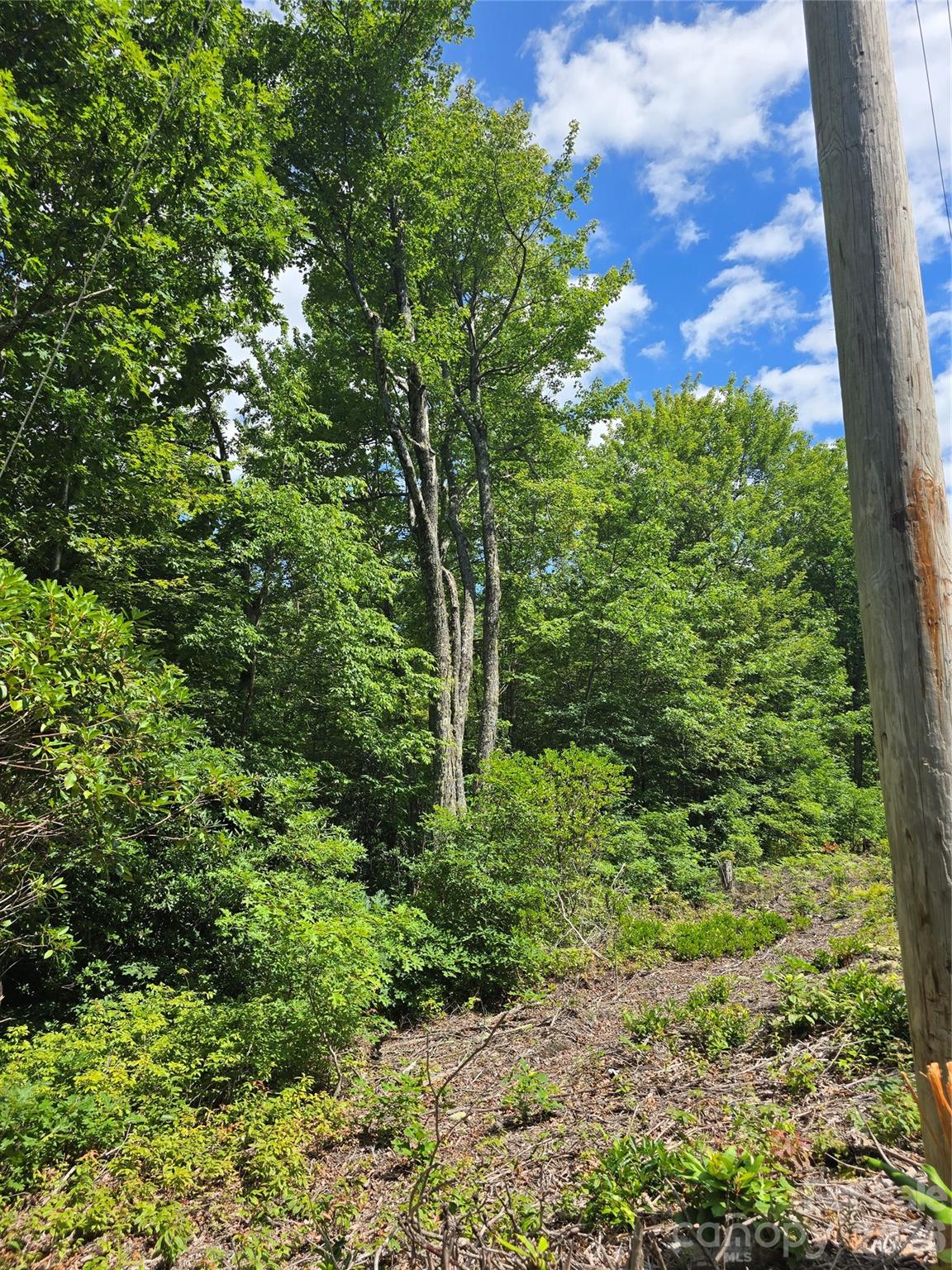 0000 Nancy Mountain Road Property Photo 11