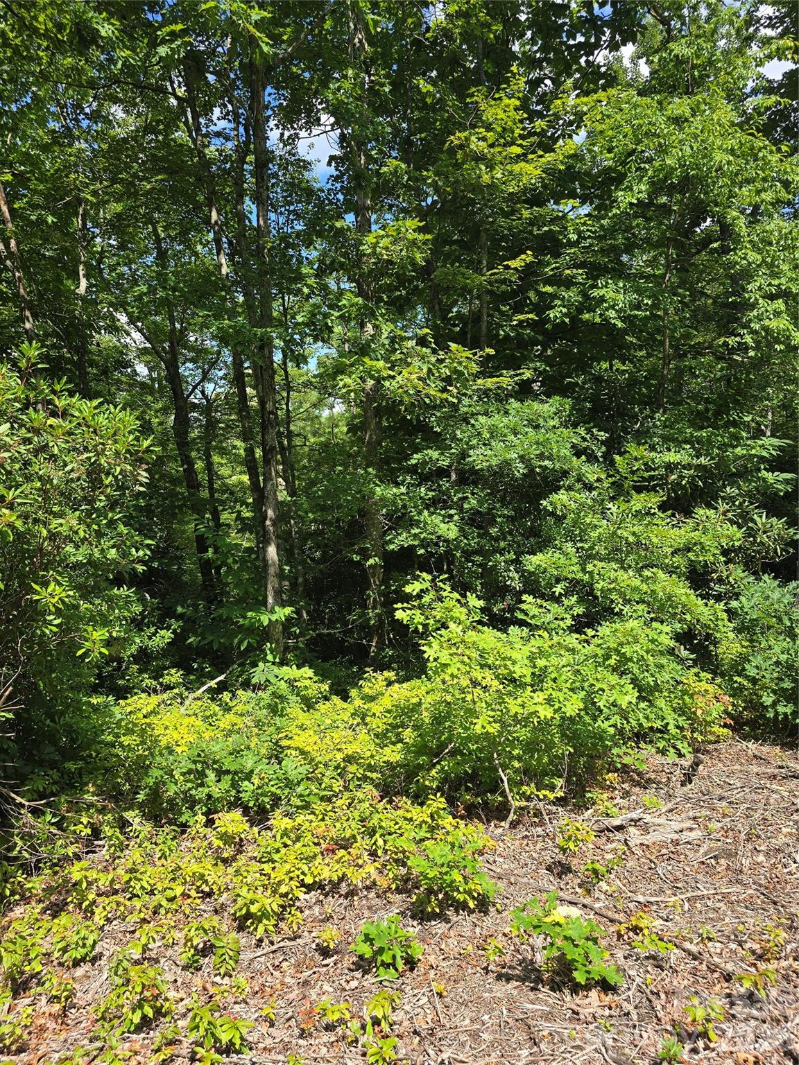 0000 Nancy Mountain Road Property Photo 12