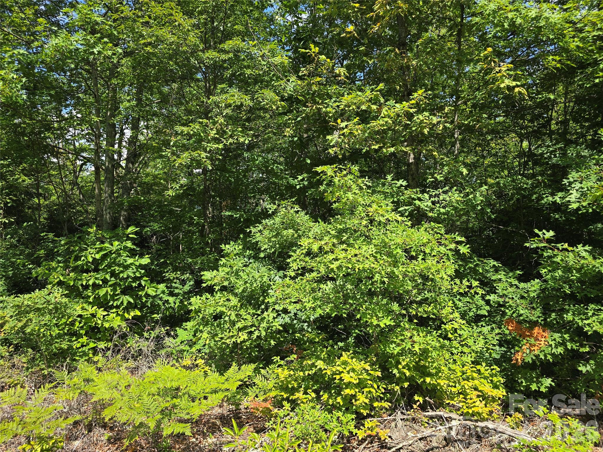 0000 Nancy Mountain Road Property Photo 14