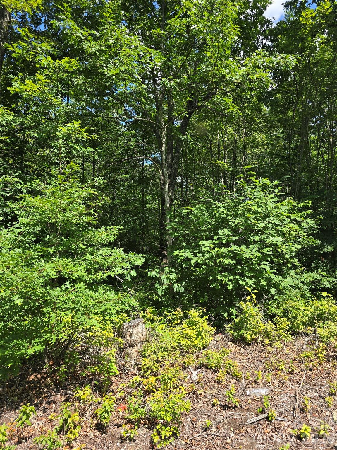 0000 Nancy Mountain Road Property Photo 15