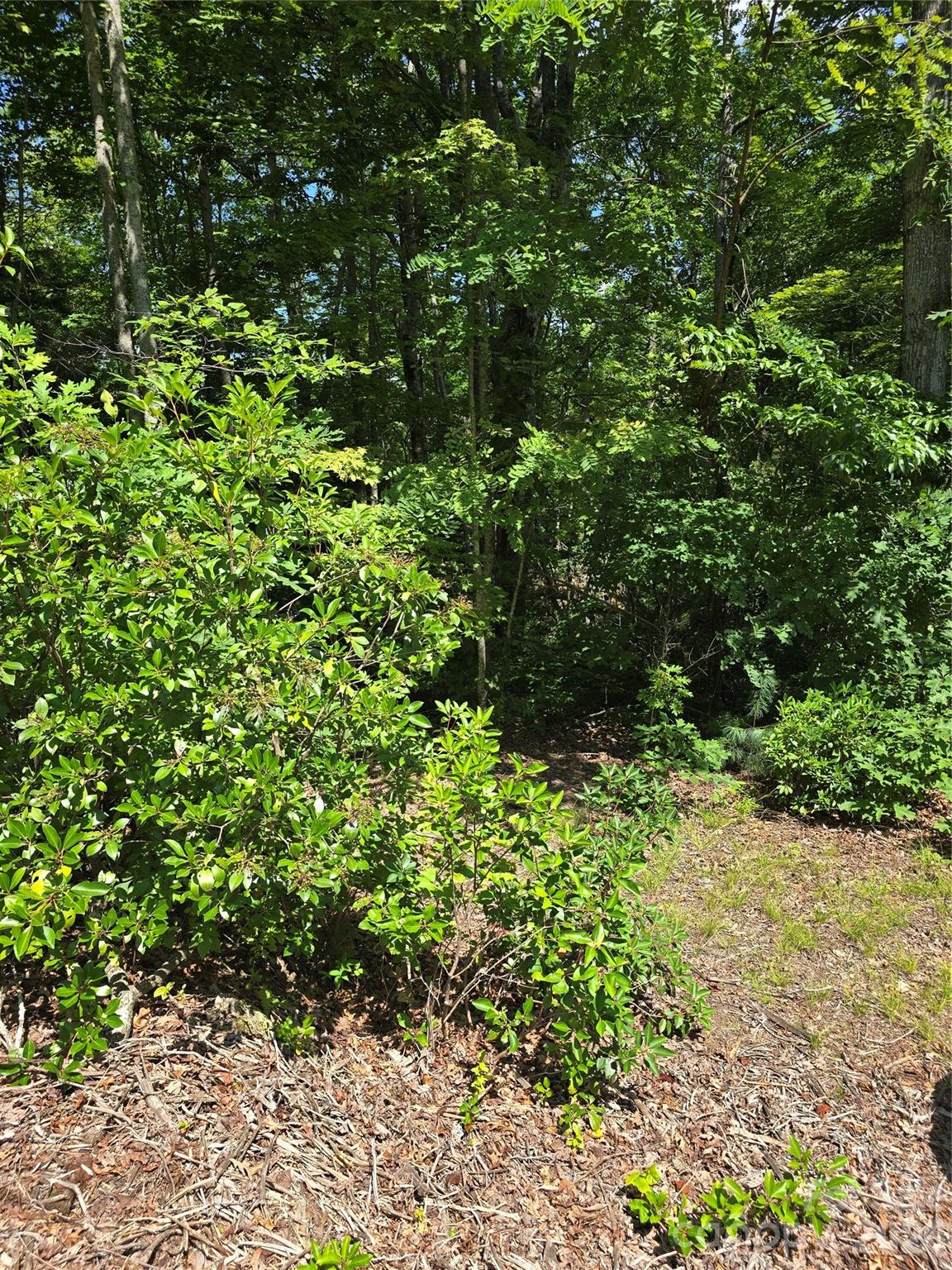 0000 Nancy Mountain Road Property Photo 18