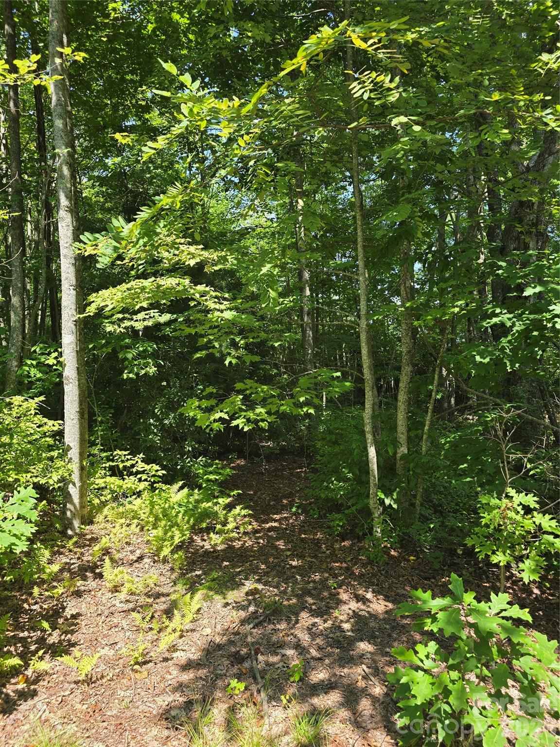 0000 Nancy Mountain Road Property Photo 19
