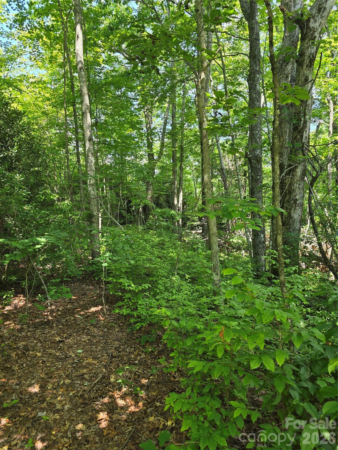 0000 Nancy Mountain Road Property Photo 20