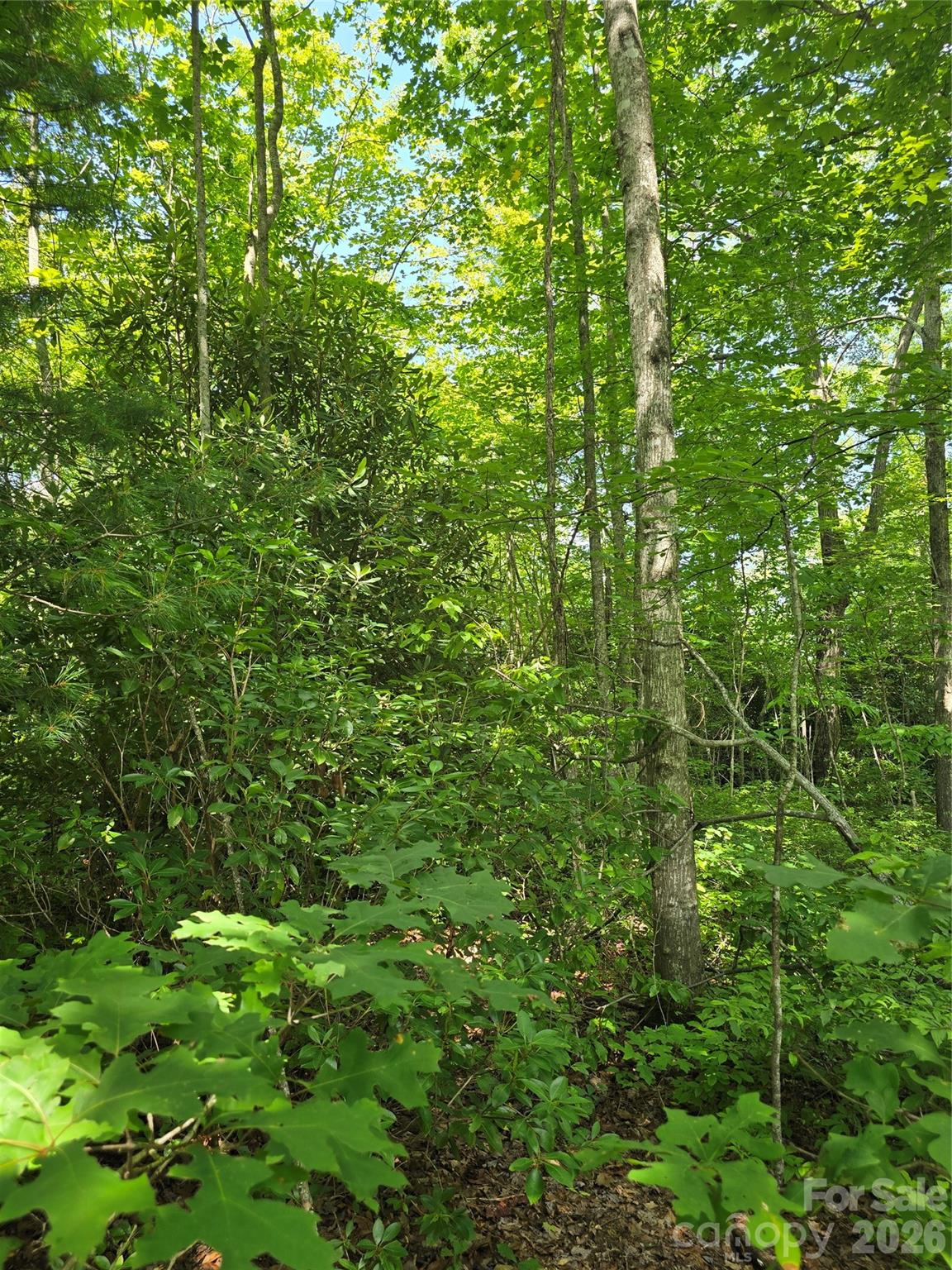 0000 Nancy Mountain Road Property Photo 21