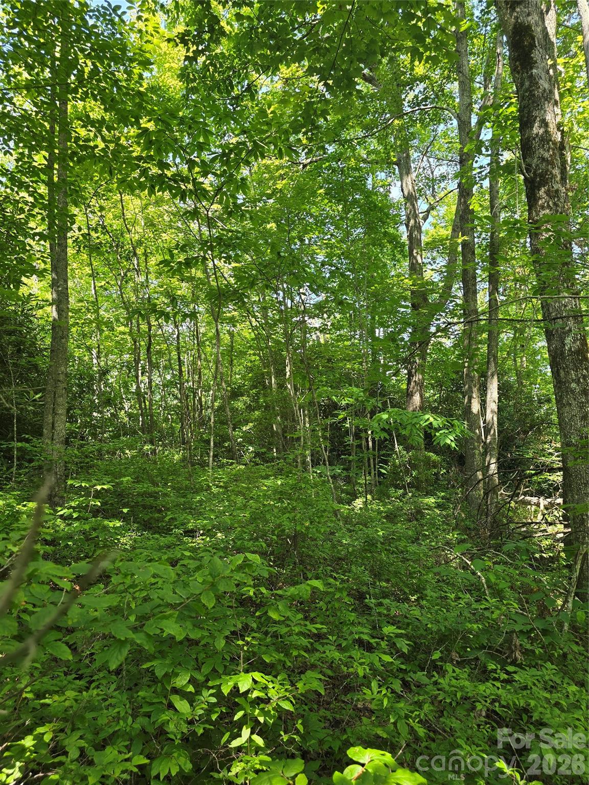0000 Nancy Mountain Road Property Photo 22