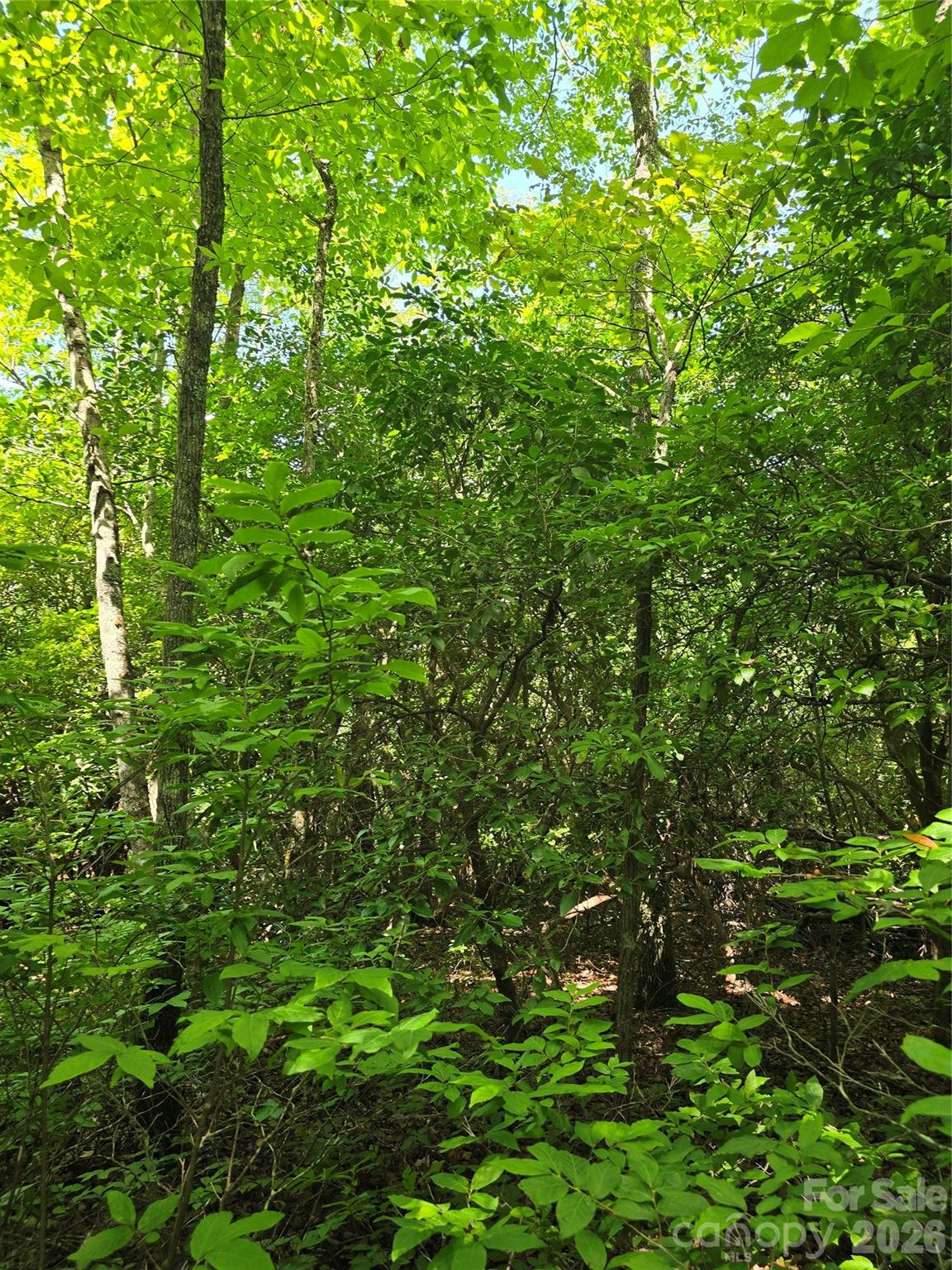 0000 Nancy Mountain Road Property Photo 25