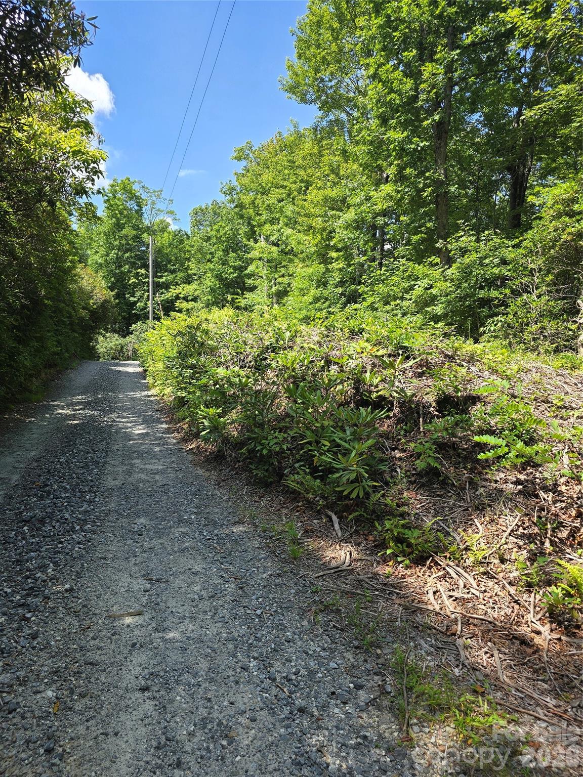 0000 Nancy Mountain Road Property Photo 28