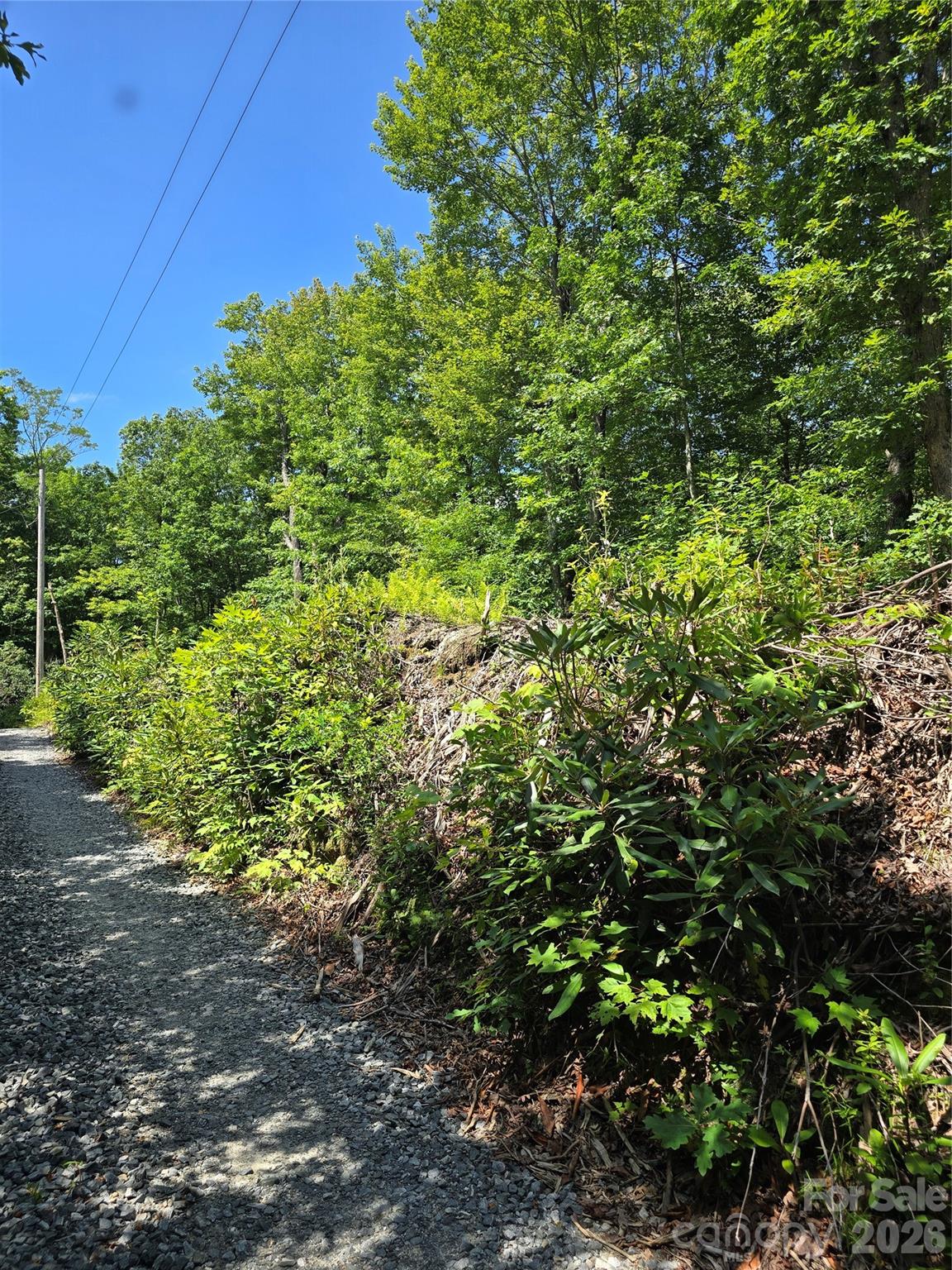 0000 Nancy Mountain Road Property Photo 29
