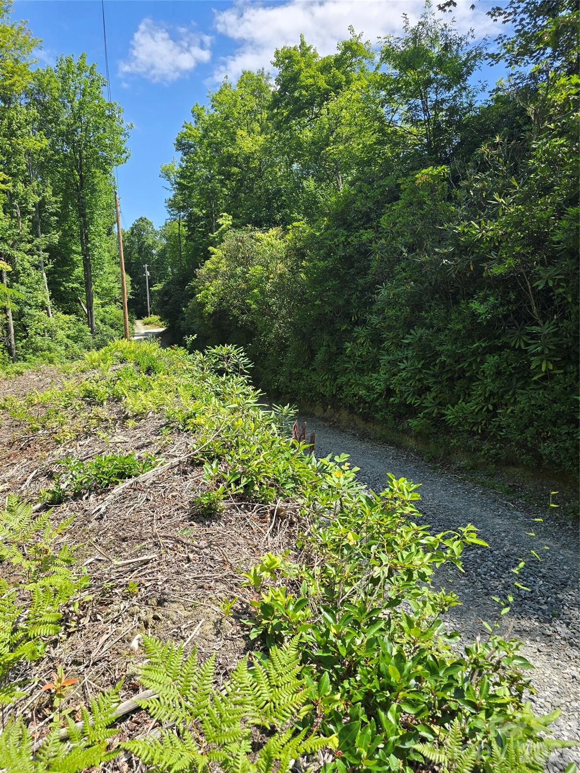 0000 Nancy Mountain Road Property Photo 31