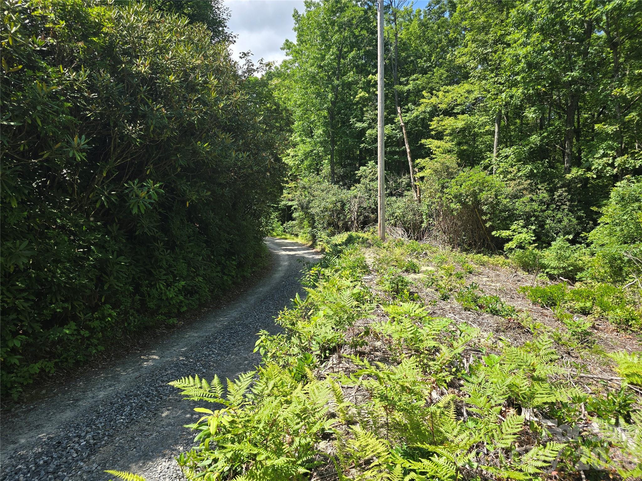 0000 Nancy Mountain Road Property Photo 32