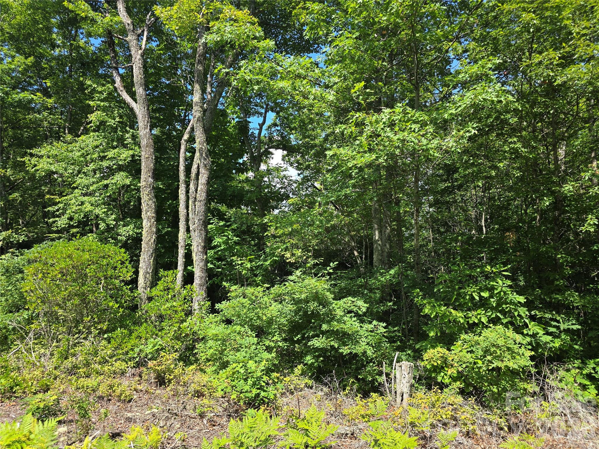 0000 Nancy Mountain Road Property Photo 33