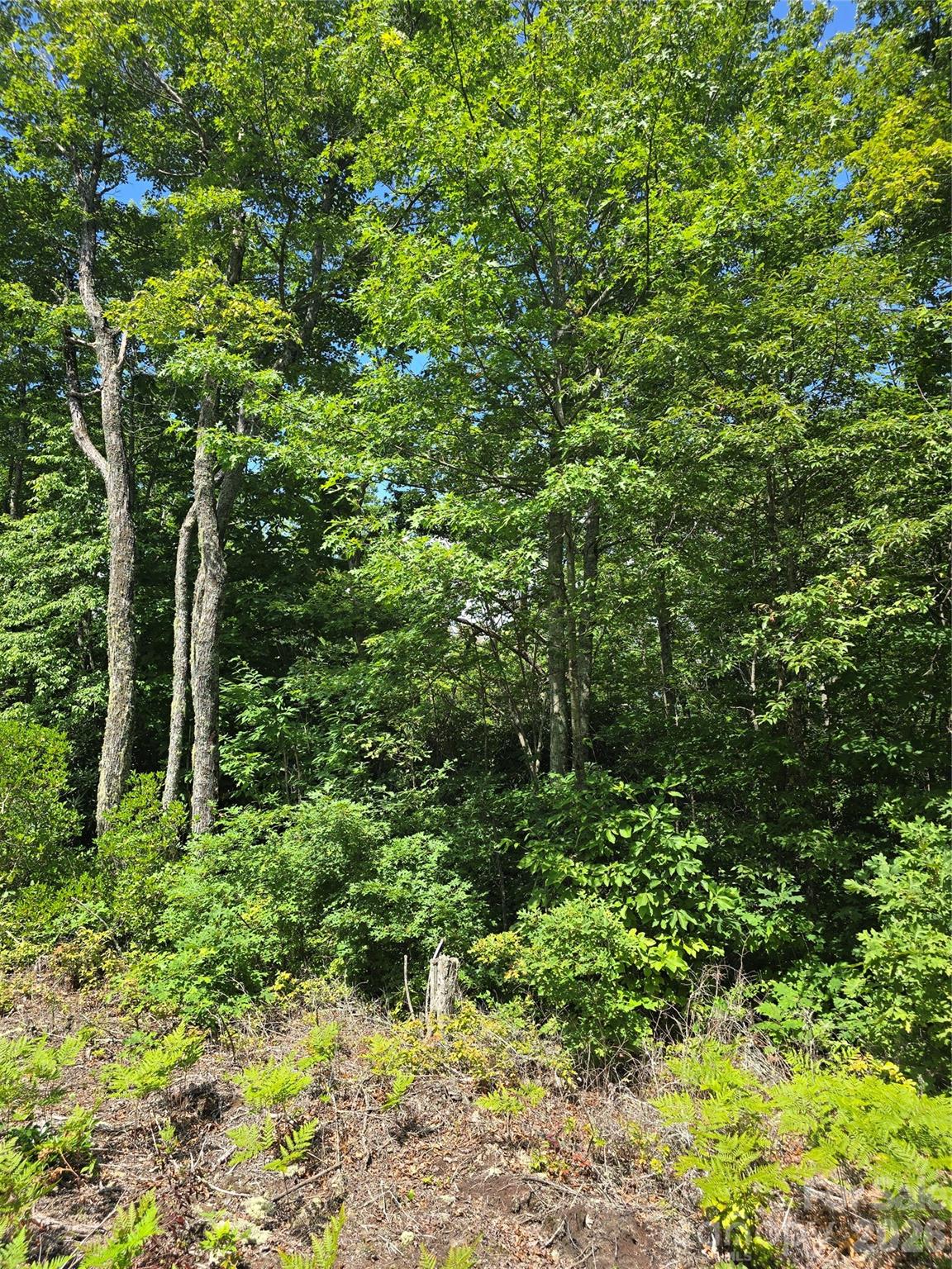 0000 Nancy Mountain Road Property Photo 34