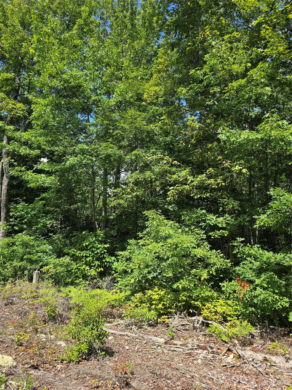 0000 Nancy Mountain Road Property Photo 35