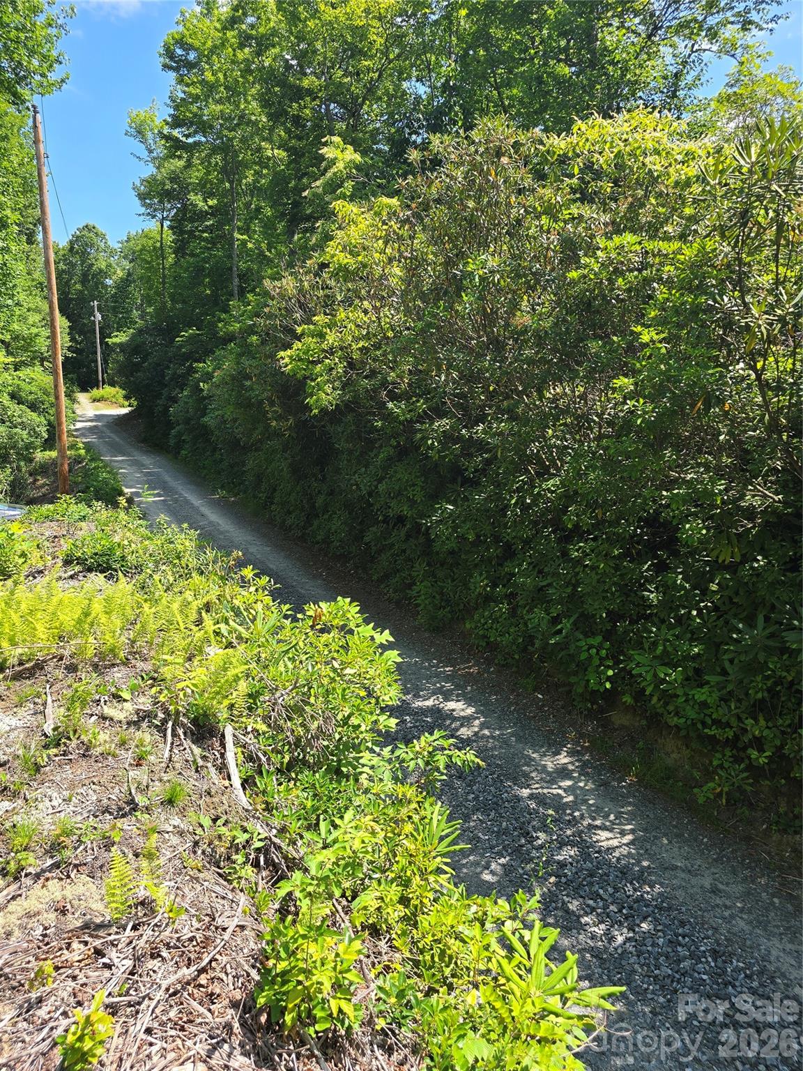 0000 Nancy Mountain Road Property Photo 37