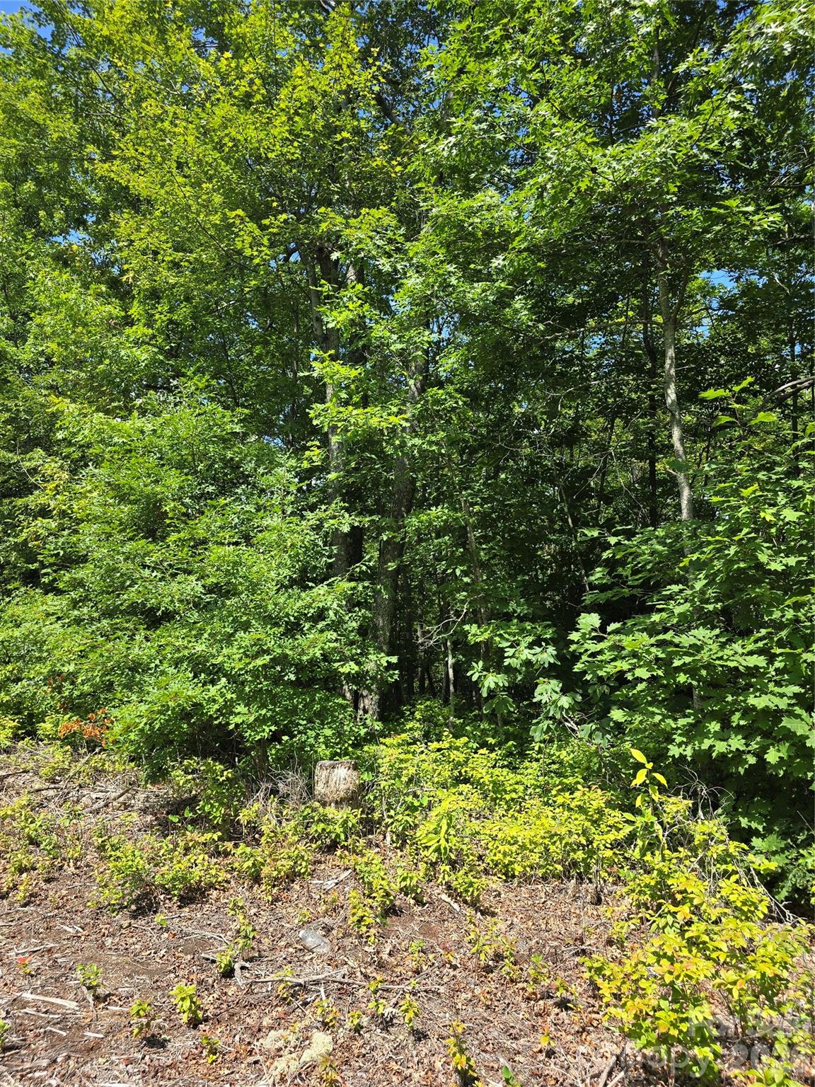 0000 Nancy Mountain Road Property Photo 38