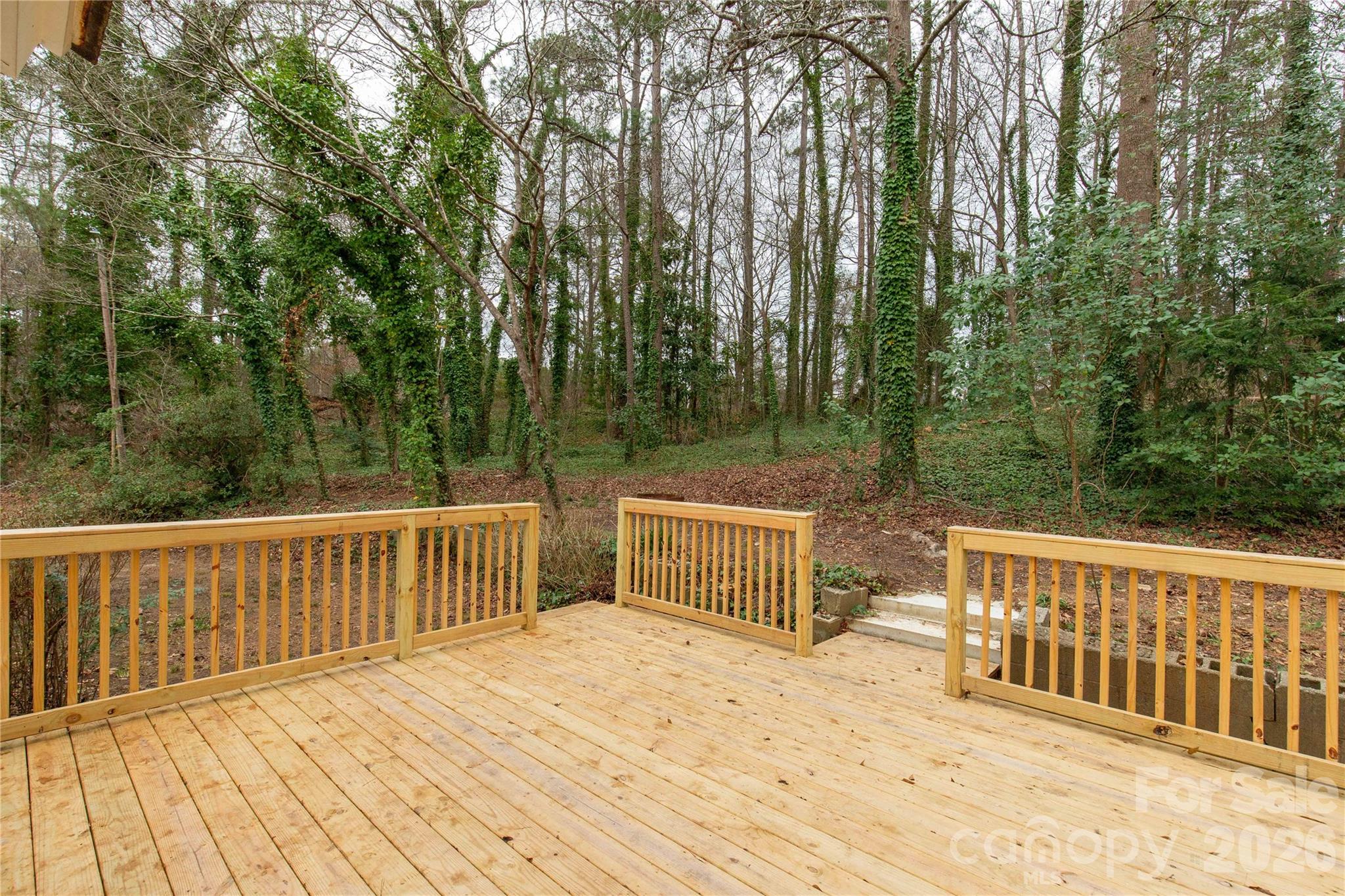 1250 Hampton Grace Avenue Property Photo 23