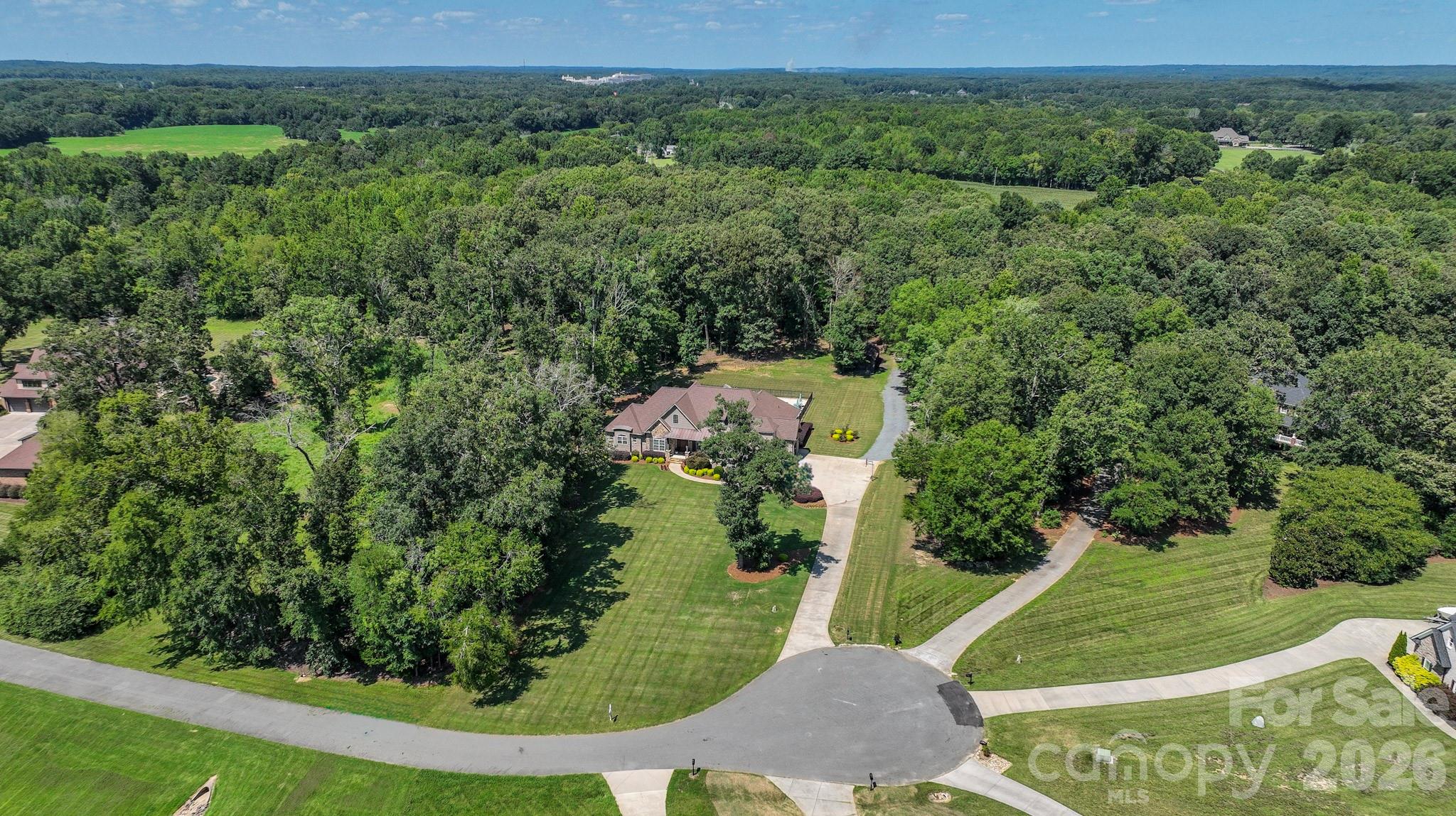 1017 Biggers Farm Court Property Photo 2